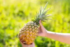 nanas untuk radang sendi