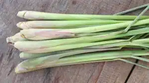 resep sereh untuk nyeri sendi