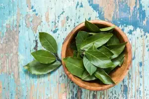 manfaat daun salam